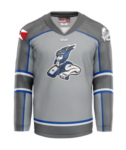 2025/26 Gray Alternate Game Jersey